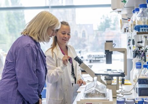 In the lab at the Alport Research Hub