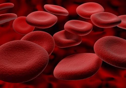 blood-cells