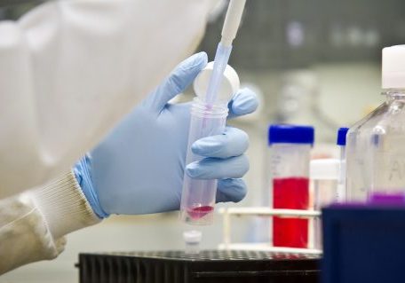 Research image